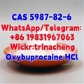 High Quality Benoxinate Hydrochloride / Oxybuprocaine HCl CAS 5987-82-6