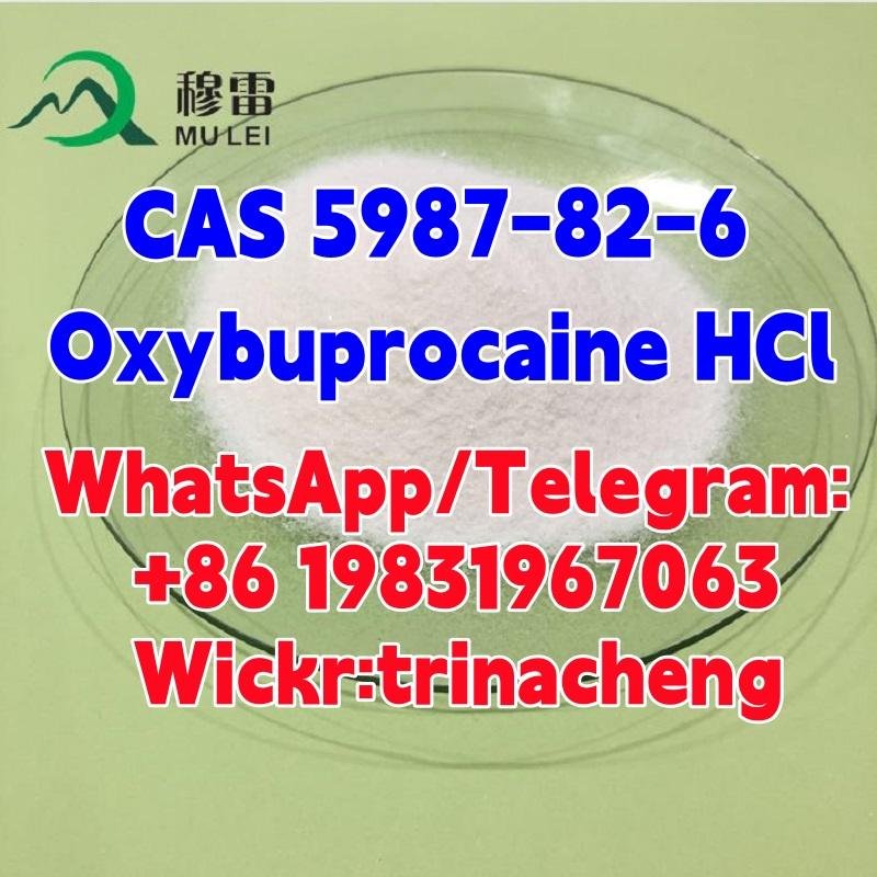 High Quality Benoxinate Hydrochloride / Oxybuprocaine HCl CAS 5987-82-6 2