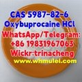 High Quality Benoxinate Hydrochloride / Oxybuprocaine HCl CAS 5987-82-6 3