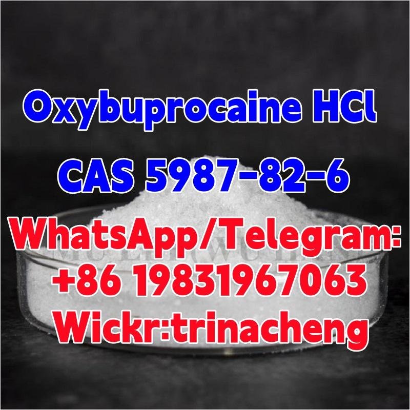 High Quality Benoxinate Hydrochloride / Oxybuprocaine HCl CAS 5987-82-6 4