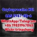 High Quality Benoxinate Hydrochloride / Oxybuprocaine HCl CAS 5987-82-6 4