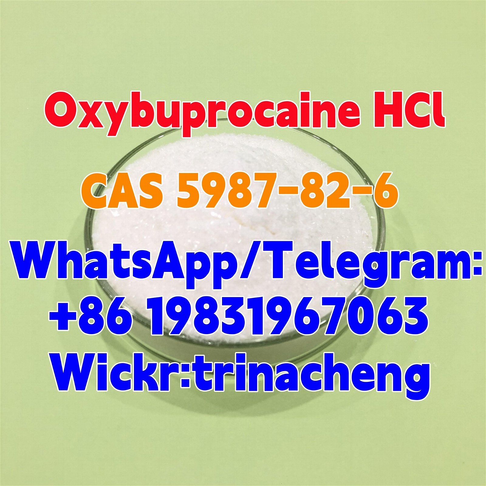 High Quality Benoxinate Hydrochloride / Oxybuprocaine HCl CAS 5987-82-6 5