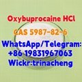 High Quality Benoxinate Hydrochloride / Oxybuprocaine HCl CAS 5987-82-6