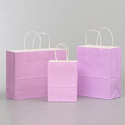 Cheap recoverable Kraft Paper Bag  4