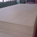 Hot sale products full birch plywood