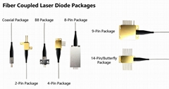 Wavespectrum Laser Group Limited