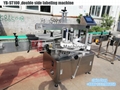 Bottle Filling Machine Automatic Hand sanitizer hand soap liquid filling machine 5