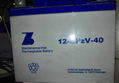 德国森泉（ZINSCHE）蓄电池2-OPzV-800抗深放电