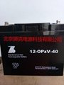 德国森泉（ZINSCHE）蓄电池2-OPzV-800抗深放电 2