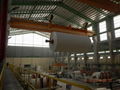 Single Girder Overhead Crane 4