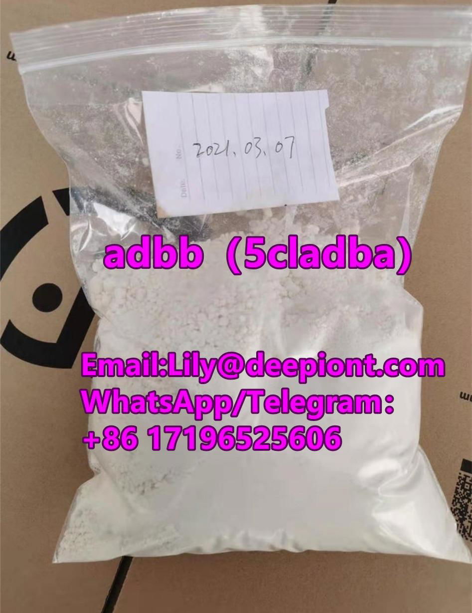 5cl-adb cannabinoid 5cladb Pharma Grade 5cladb 99.8% china reliable supplier 2