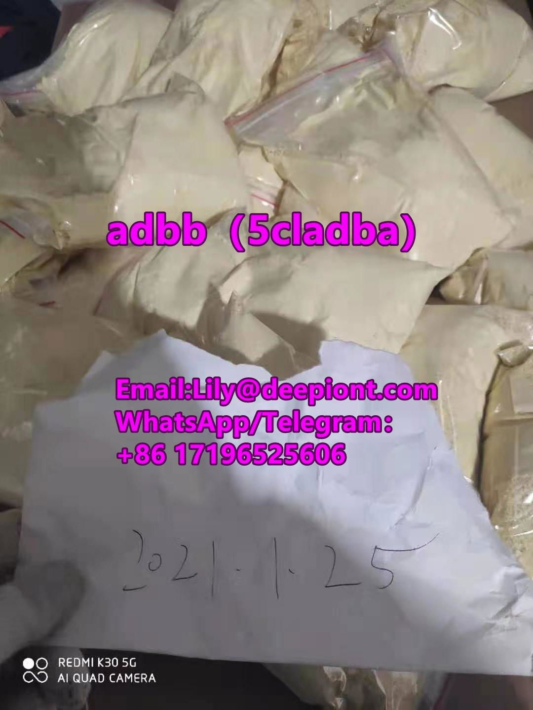 5cl-adb cannabinoid 5cladb Pharma Grade 5cladb 99.8% china reliable supplier 4