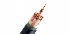 4 Cores +Earth Power Cable (XLPE Insulated)