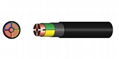 4 Cores +Earth Power Cable (XLPE Insulated) 2