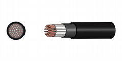 Multi Cores Power Cable (PVC Insulated)
