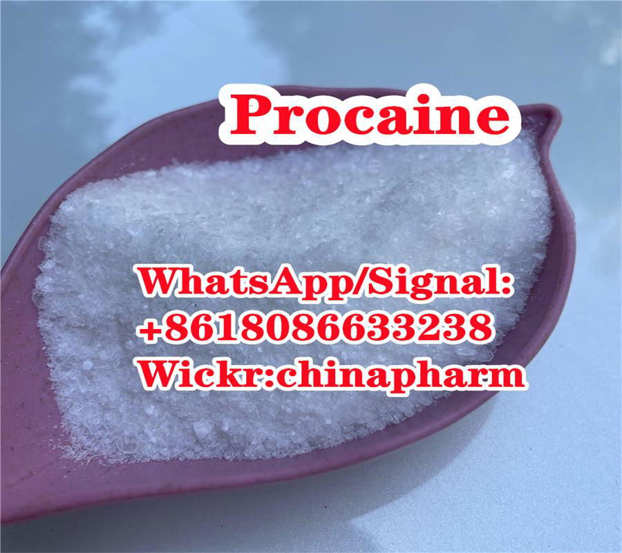 Procaine Hydrochloride CAS 51-05-8 China Supplier