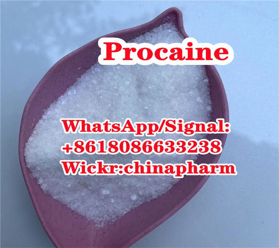 Procaine Hydrochloride CAS 51-05-8 China Supplier 2