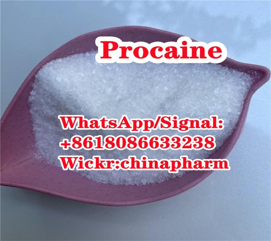 Procaine Hydrochloride CAS 51-05-8 China Supplier 3