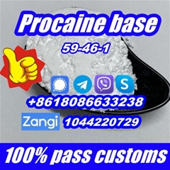 99%+ Procaine base CAS 59-46-1 white powder