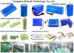 Yongzhou BELICELL Technology Co.,Ltd