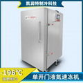 竹筍液氮速凍櫃KRT/SDX-1