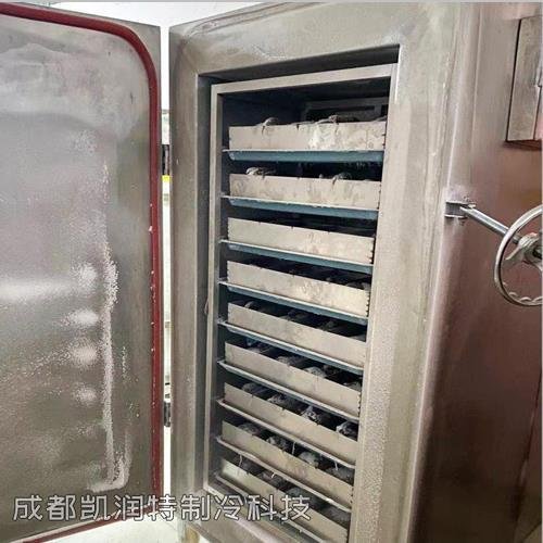 深圳水产品液氮速冻柜 3