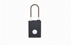 Telecommunication basestation security Smart GPS padlock