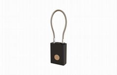 Warehouse security Smart GPS padlock