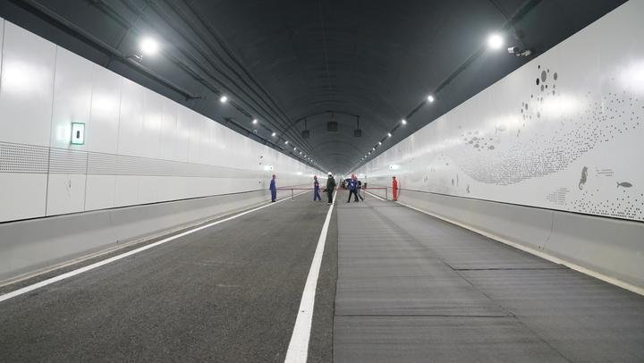 深圳瑞爾利隧道內車道指示器收費站指示燈 2
