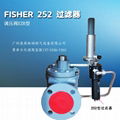 美國FISHER 252 過濾器 2