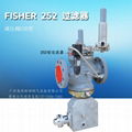 美國FISHER 252 過濾器 4