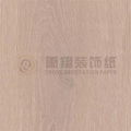 Furniture Decorative Paper 1