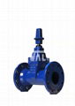 Resilient seat gate valve