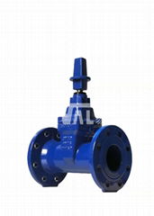 Resilient seat gate valve