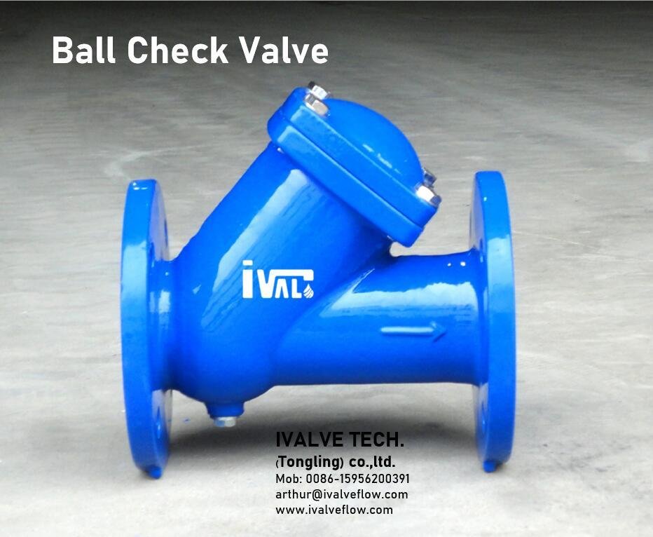 Flagned ends Ball check valves