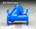 Flagned ends Ball check valves