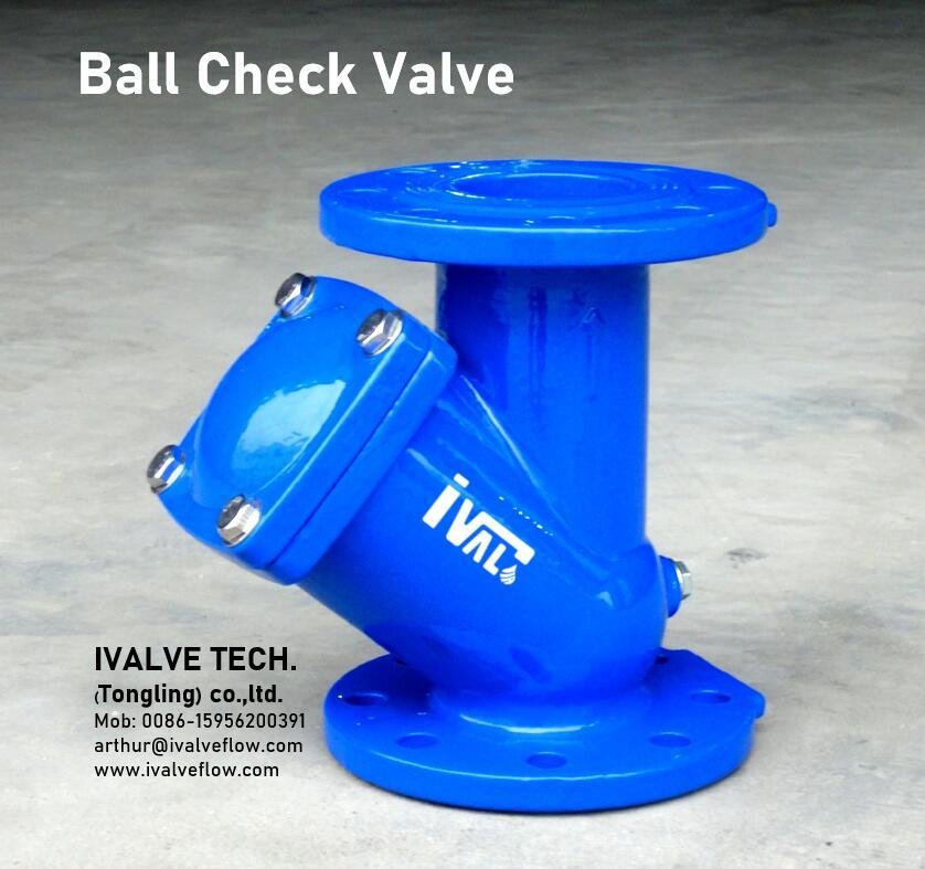 Flagned ends Ball check valves 2