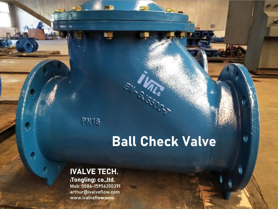 Flagned ends Ball check valves 3