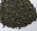 sichuan chunmee green tea 4011AAAAA morocco senegal algeria