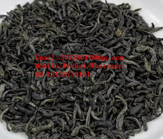 the vert de chine 41022AAAAAA extract chunmee green tea 9371AAAAA 2