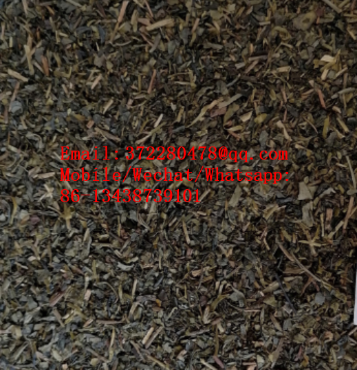 the vert de chine 41022 9371 extract chunmee green tea 9371AAAAA 4