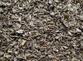 China extract gunpowder green tea 9374,9475,9501,9502, 3505, DL022