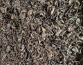 Gunpowder green tea 9374,9475,9501,9502, 3505, DL022 4