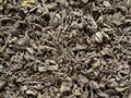 Gunpowder green tea 9374,9475,9501,9502,