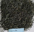 sencha loose leaf tea 