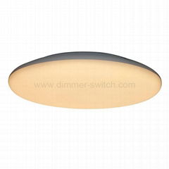 Ceiling Light LEDCL01