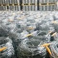 Hot Dipped Galvanized Barbed Wire