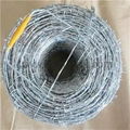 Hot Dipped Galvanized Barbed Wire      concertina wire manufacturer  