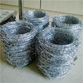 Electro Galvanized Barbed Wire     concertina wire for sale