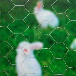 Electro Galvanized Hexagonal Wire Netting    chicken wire dog fence   2